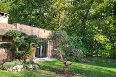 Musiciens mariachi jouant de la trompette, de la guitare et du violon dans une salle décorée de couleurs vives et de…