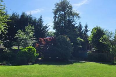 Musiciens mariachi jouant de la trompette, de la guitare et du violon dans une salle décorée de couleurs vives et de…