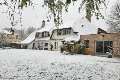 Musiciens mariachi jouant de la trompette, de la guitare et du violon dans une salle décorée de couleurs vives et de…
