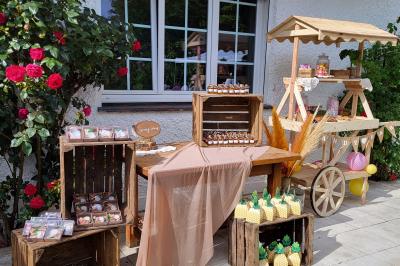 Musiciens mariachi jouant de la trompette, de la guitare et du violon dans une salle décorée de couleurs vives et de…