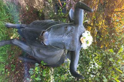 Musiciens mariachi jouant de la trompette, de la guitare et du violon dans une salle décorée de couleurs vives et de…