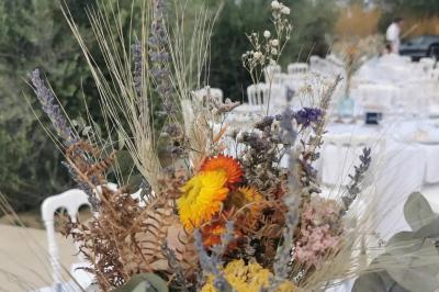 Location salle Toulouges (Pyrénées-Orientales) - Mas de La Secade #34