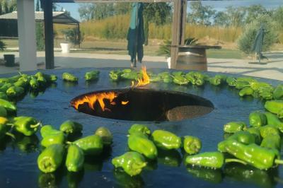 Location salle Toulouges (Pyrénées-Orientales) - Mas de La Secade #34