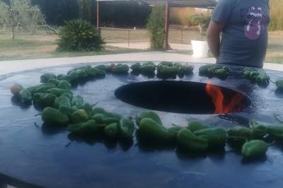 Location salle Toulouges (Pyrénées-Orientales) - Mas de La Secade #34