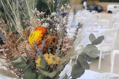 Location salle Toulouges (Pyrénées-Orientales) - Mas de La Secade #34