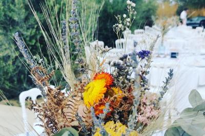 Location salle Toulouges (Pyrénées-Orientales) - Mas de La Secade #34