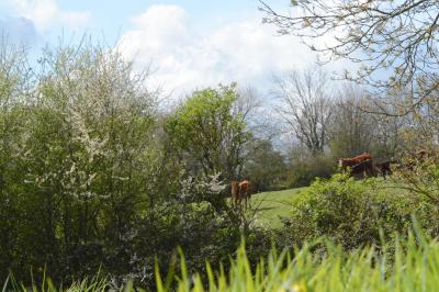 Location salle Carentan (Manche) - Domaine de Saint Vigor #20