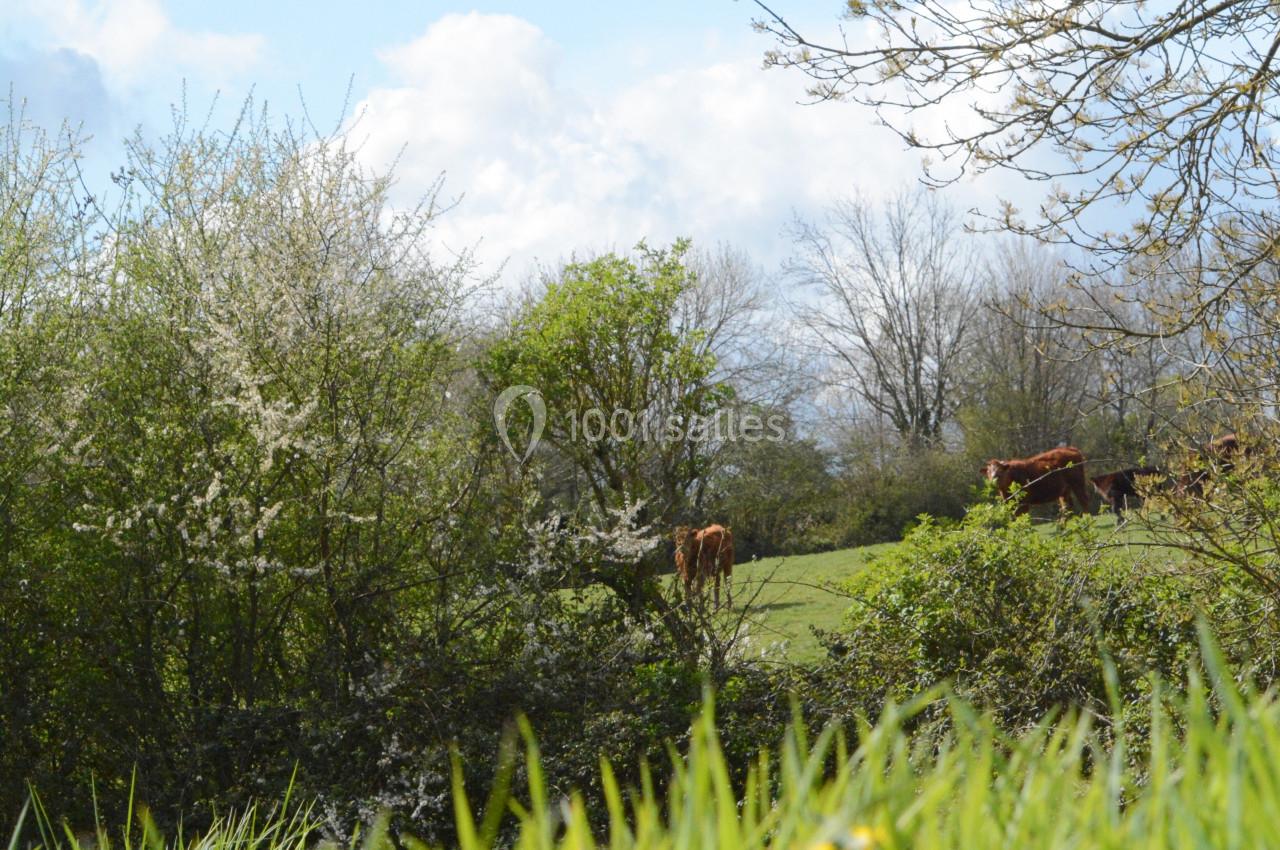 Location salle Carentan (Manche) - Domaine de Saint Vigor #11