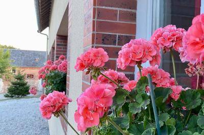 Location salle Carentan (Manche) - Domaine de Saint Vigor #20