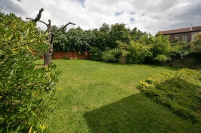 Jardin avec pelouse, arbre taillé, haies verdoyantes et maison moderne en arrière-plan sous un ciel partiellement nuageux.