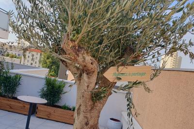 Location salle Lyon 7 (Rhône) - Idéallis Formation Professionnelle #20