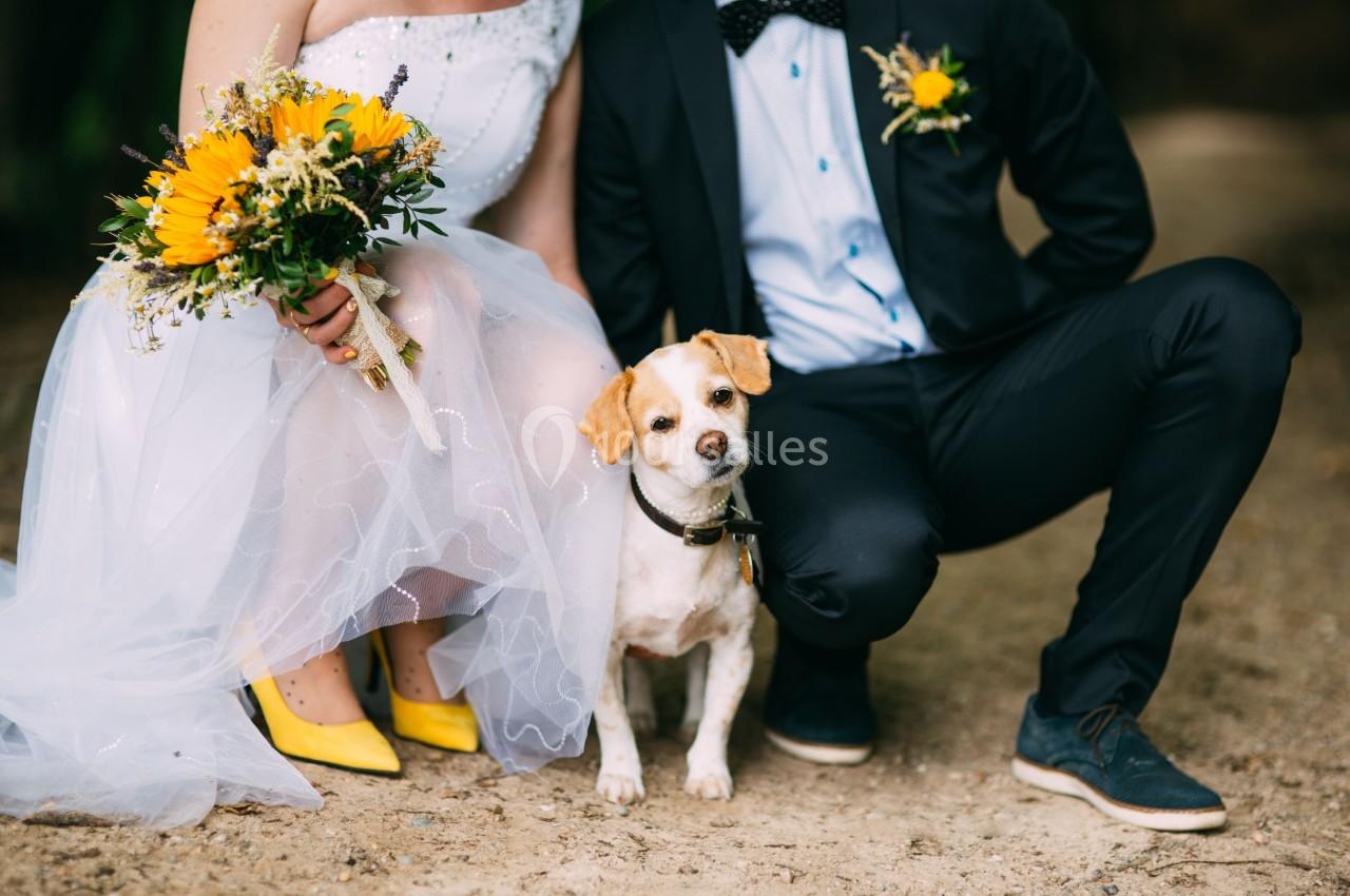 Un couple en tenue de mariage accroupi à côté d'un petit chien portant un collier, avec un bouquet de tournesols.