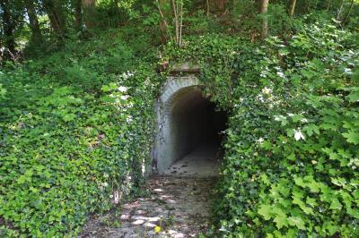 Cuisine professionnelle avec plans de travail en inox, réfrigérateurs, sol en bois clair et murs carrelés gris.