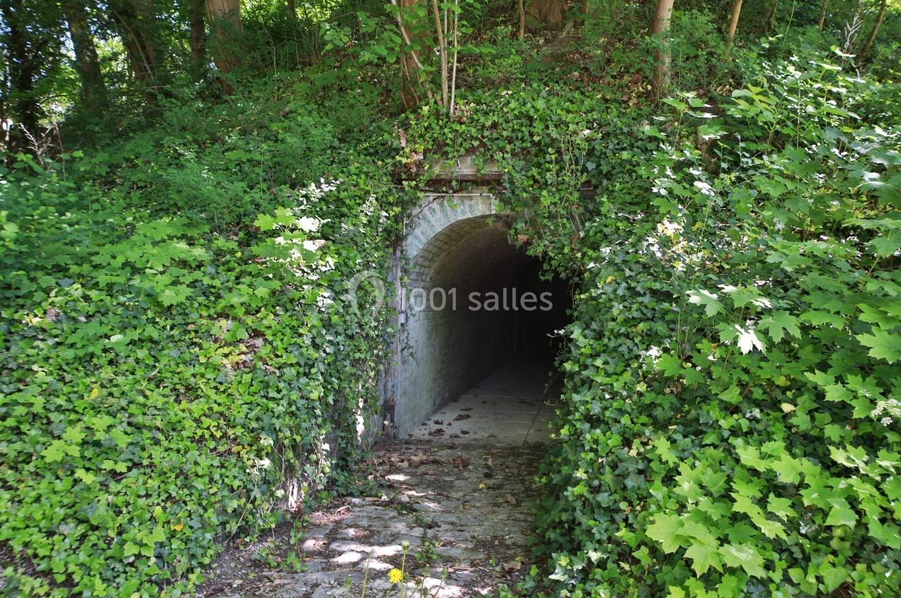 Entrée d'un tunnel en briques partiellement recouverte de végétation dense dans un environnement boisé.
