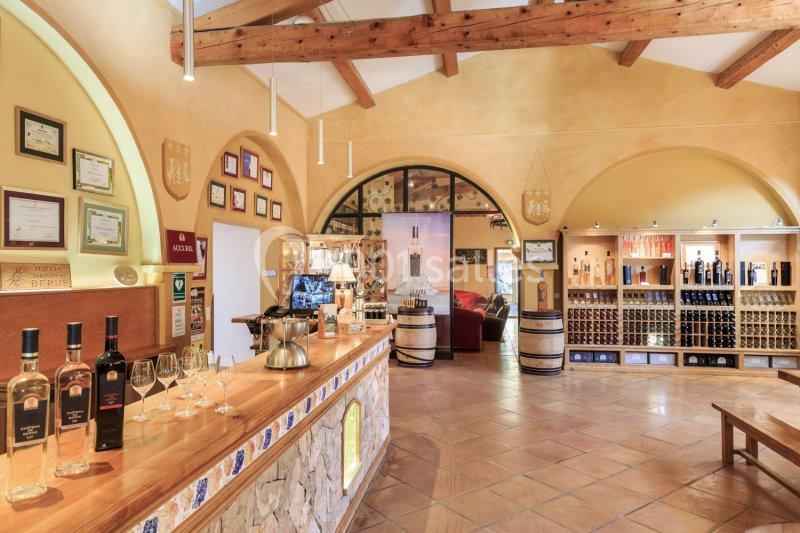 Location salle Lorgues (Var) - Château de Berne #12