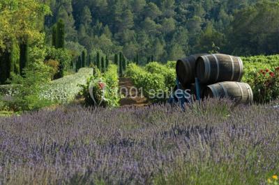 Location salle Lorgues (Var) - Château de Berne #23