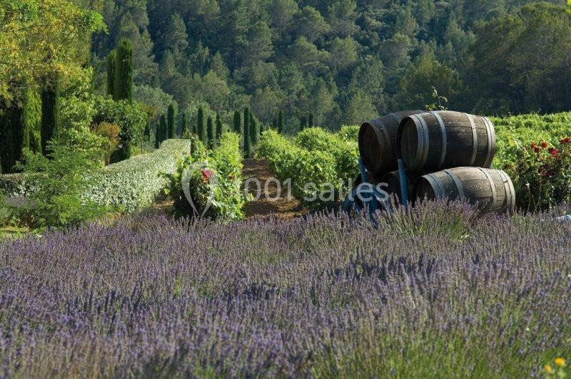 Location salle Lorgues (Var) - Château de Berne #7
