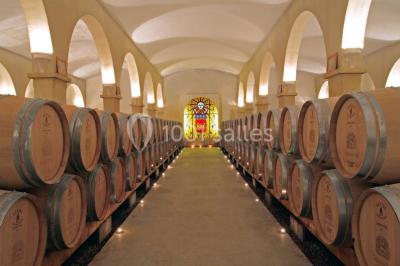 Location salle Lorgues (Var) - Château de Berne #23