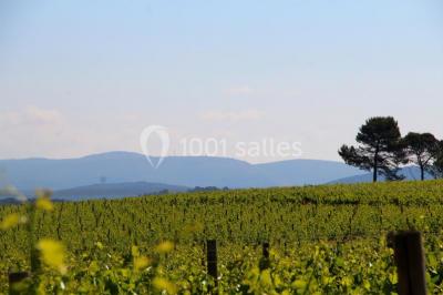 Location salle Lorgues (Var) - Château de Berne #23
