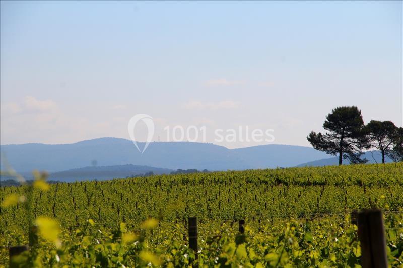Location salle Lorgues (Var) - Château de Berne #5