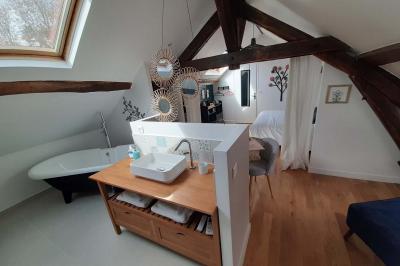 Location salle Bailleau-l'Évêque (Eure-et-Loir) - Le Domaine du Moulin 28 & SPA #50