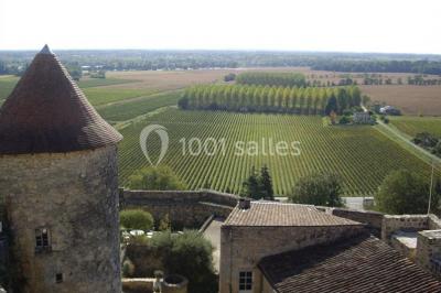 Forteresse de Langoiran - photo 1