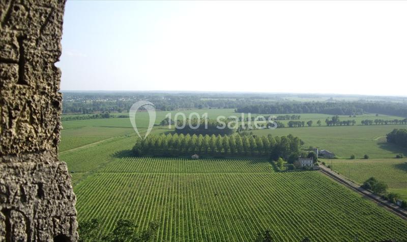 Vue sur un paysage rural avec des vignobles, des arbres alignés et une petite bâtisse entourée de verdure.