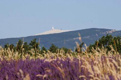 Location salle Saint-Trinit (Vaucluse) - Domaine des Maillettes #40