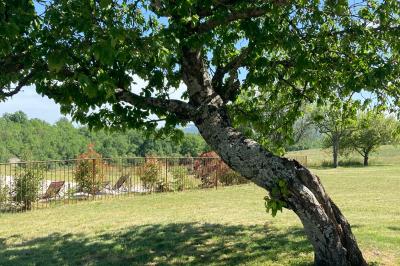 Location salle Saint-Trinit (Vaucluse) - Domaine des Maillettes #40