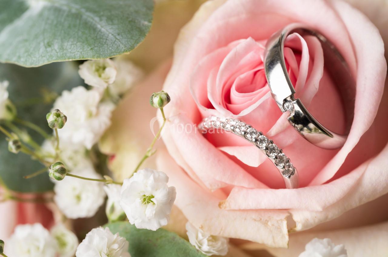 Deux alliances argentées posées sur une rose rose entourée de petites fleurs blanches et de feuilles vertes.