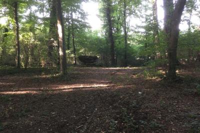 Salle de réception élégante avec tables dressées, chaises blanches, décorations florales et un piano en arrière-plan.