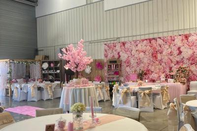 Plateaux garnis de toasts variés, avec fromage gratiné, pâté et décorations de tomates cerises et herbes fraîches.