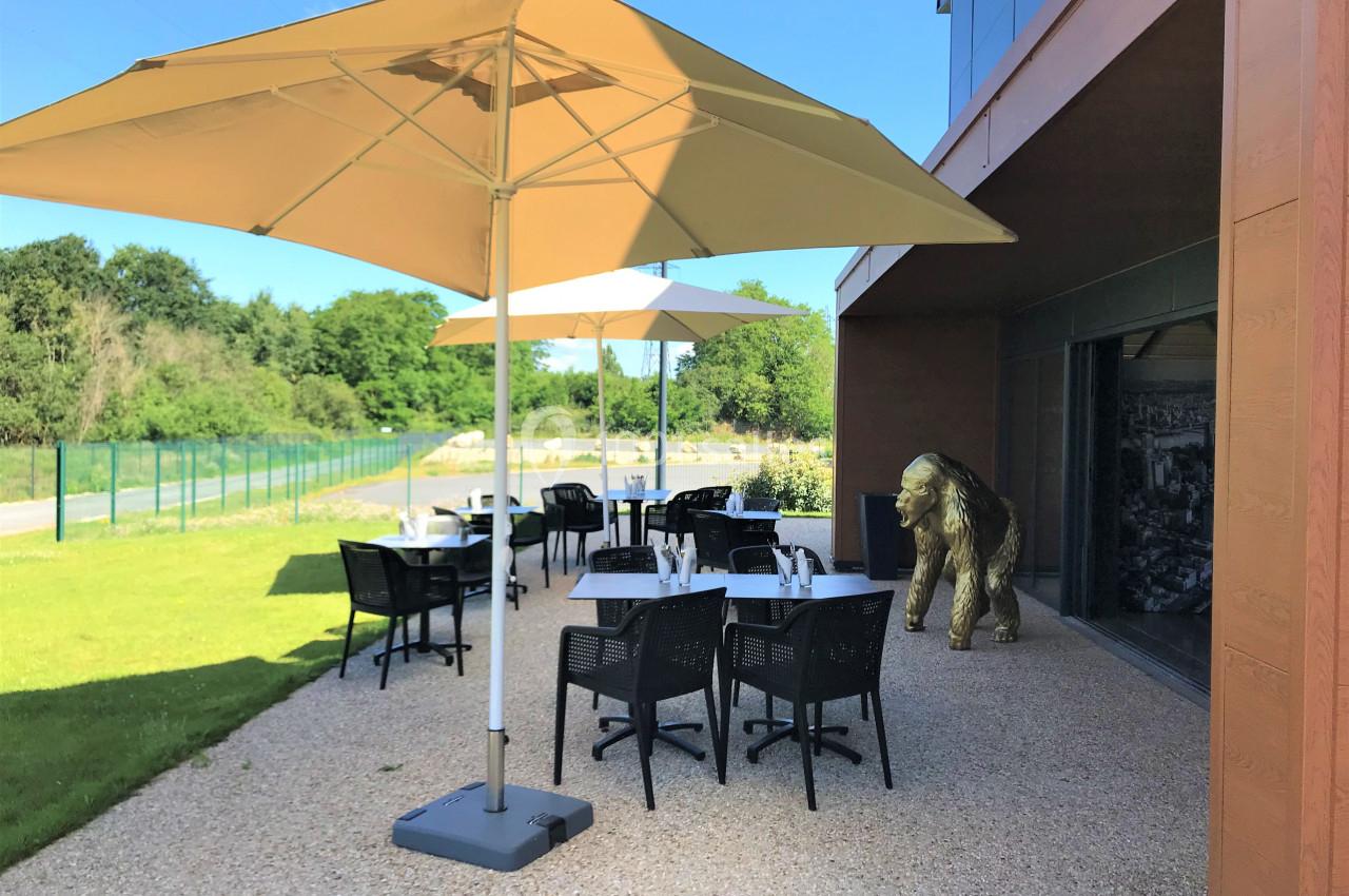 Terrasse extérieure avec tables, chaises et parasols, située près d'un bâtiment moderne et d'un espace vert.