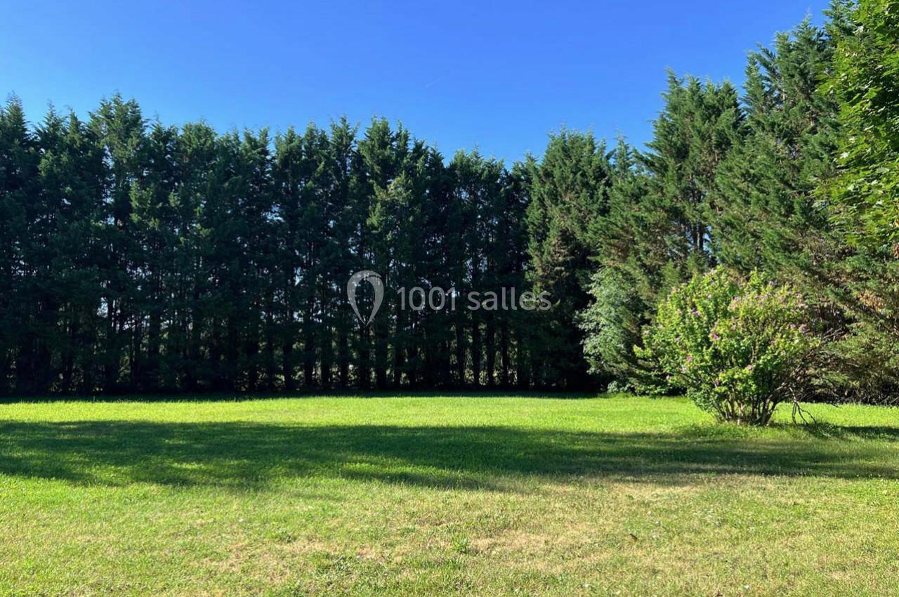 Pelouse verte bordée de grands arbres et arbustes sous un ciel bleu dégagé.