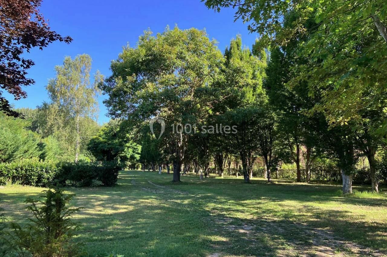 Un parc verdoyant avec des arbres variés sous un ciel bleu clair, éclairé par une lumière naturelle.