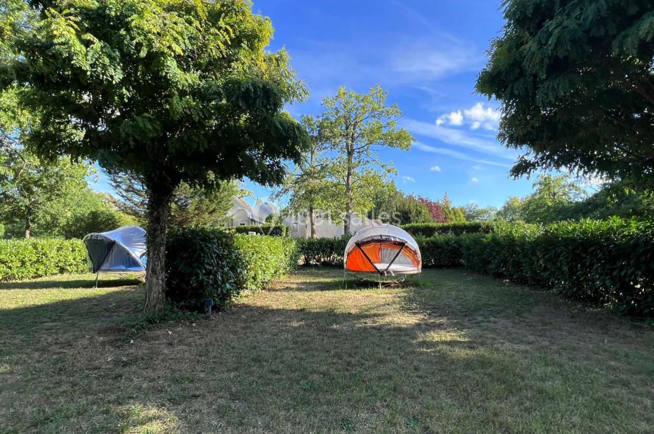 Deux tentes installées sur une pelouse entourée de haies et d'arbres, sous un ciel bleu dégagé.