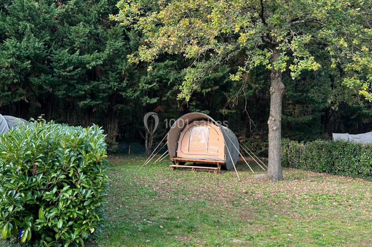 Tente en toile installée sur une plateforme en bois, entourée d'arbres et de verdure dans un espace naturel.