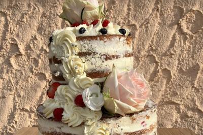 Location salle Plan-les-Ouates (Genêve) - Garden & Cooking #27