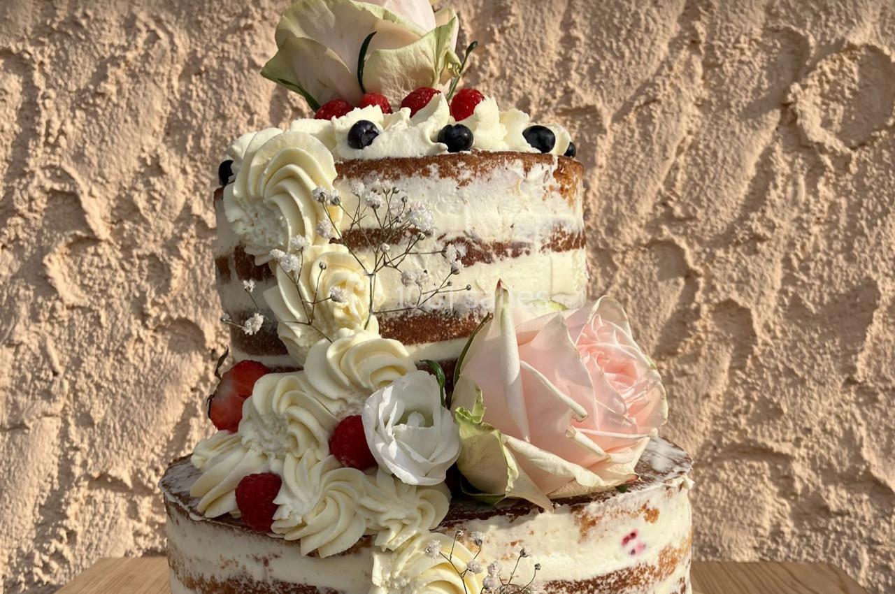 Location salle Plan-les-Ouates (Genêve) - Garden & Cooking #22