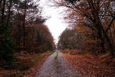 Location salle Fercé (Loire-Atlantique) - Domaine de Javardan #50