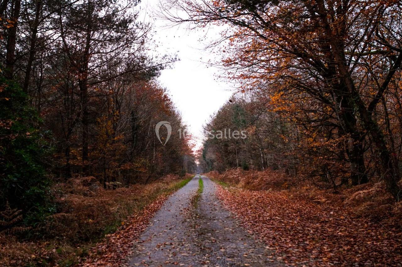 Location salle Fercé (Loire-Atlantique) - Domaine de Javardan #41