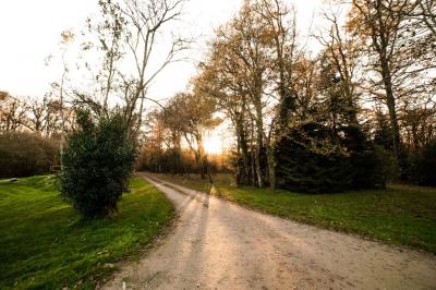 Location salle Fercé (Loire-Atlantique) - Domaine de Javardan #83