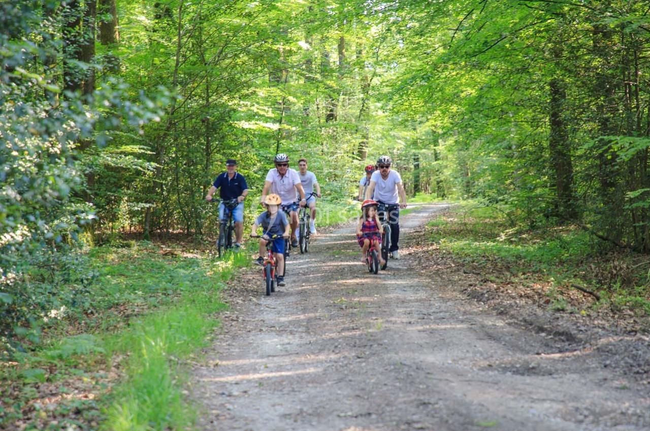 Location salle Fercé (Loire-Atlantique) - Domaine de Javardan #56