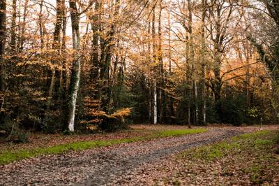 Location salle Fercé (Loire-Atlantique) - Domaine de Javardan #83