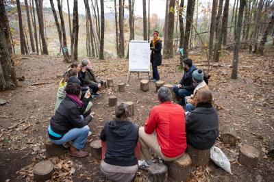 Salon chaleureux avec fauteuils en rotin, canapé, poêle à bois, bibliothèque et lumière naturelle.