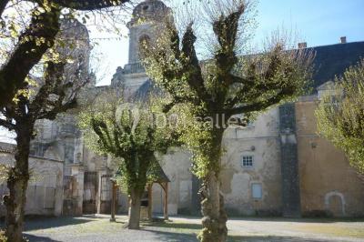 Miniature Location salle Varaize (Charente-Maritime) - Abbaye Royale Saintjean D'angély #13 Location salle Varaize (Charente-Maritime) - Abbaye Royale Saintjean D'angély #17