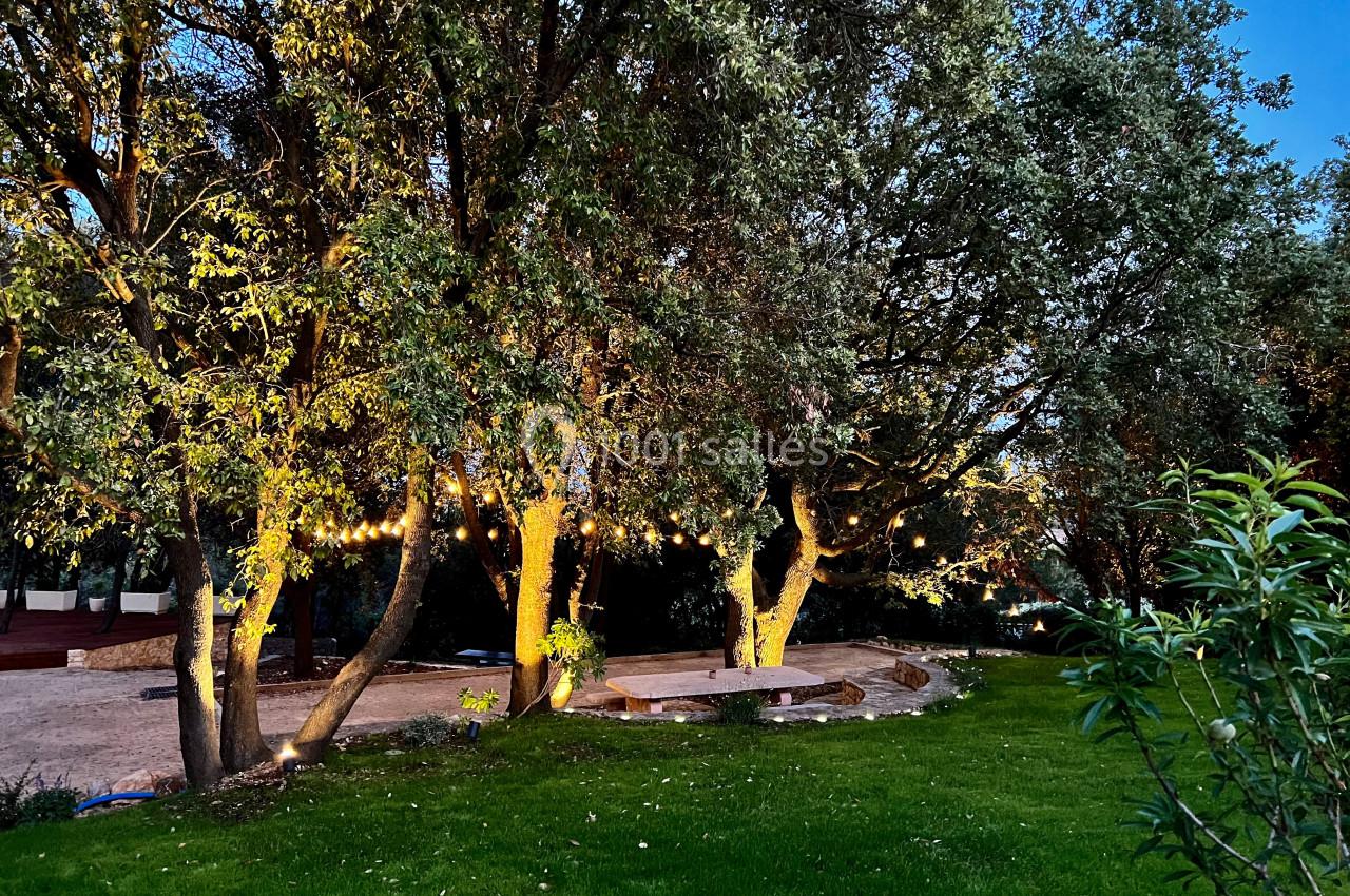 Des arbres éclairés par des guirlandes lumineuses dans un jardin en soirée, avec une pelouse et un ciel dégagé.