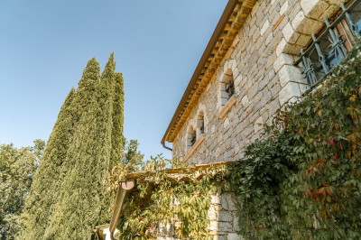 Décoration de table élégante sous un plafond de guirlandes lumineuses et de toile de jute en soirée extérieure.