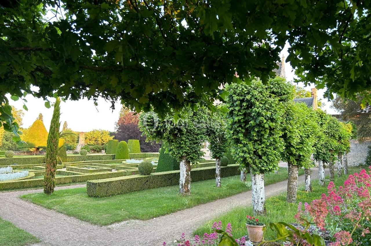 Allée bordée d'arbres taillés menant à un jardin géométrique avec buissons sculptés et parterres fleuris.