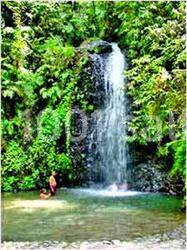 Location salle Le Morne-Rouge (Martinique) - Le Domaine De La Vallée #11